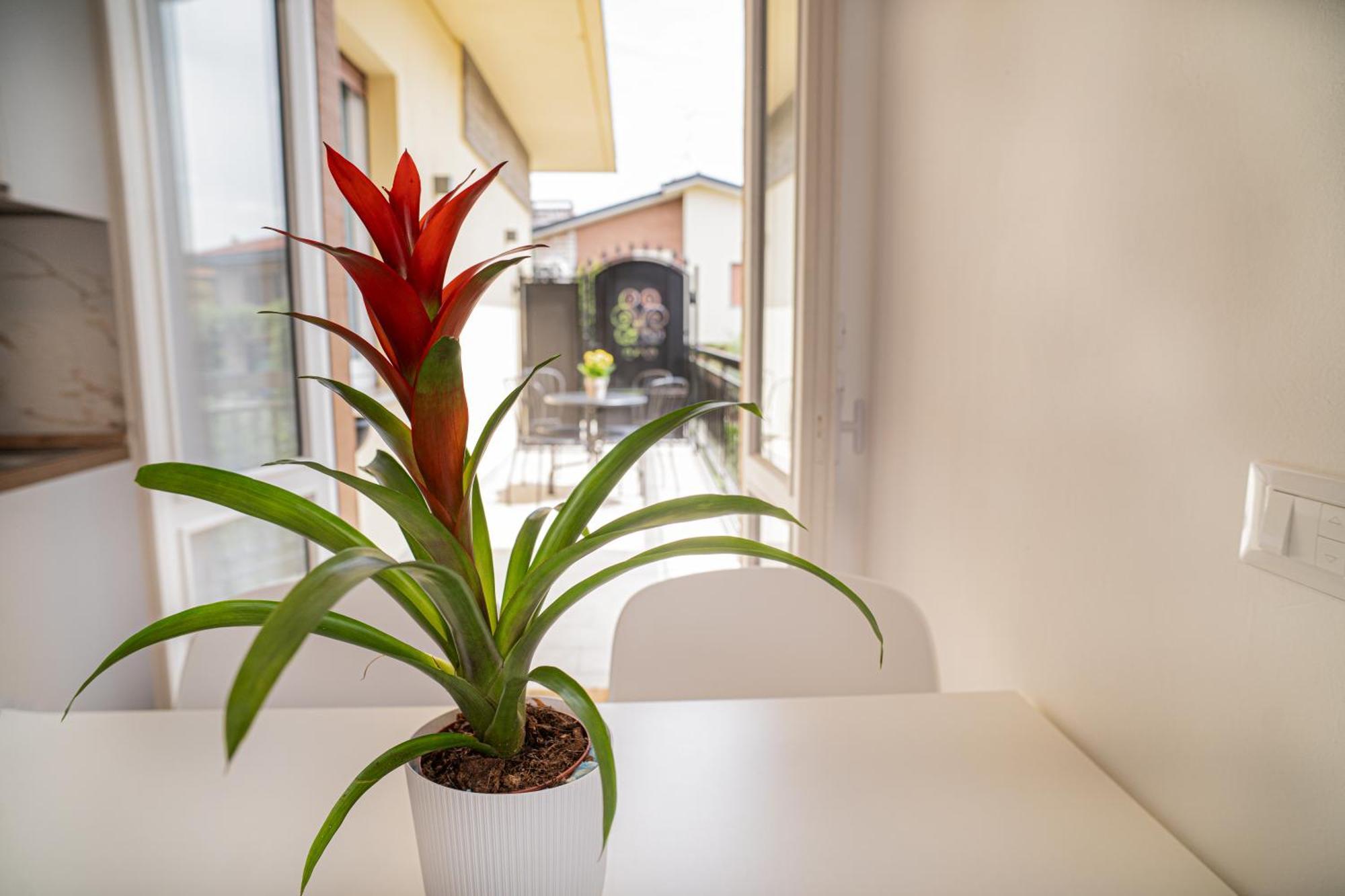 Apartment Bergamini 23 & Peschiera del Garda